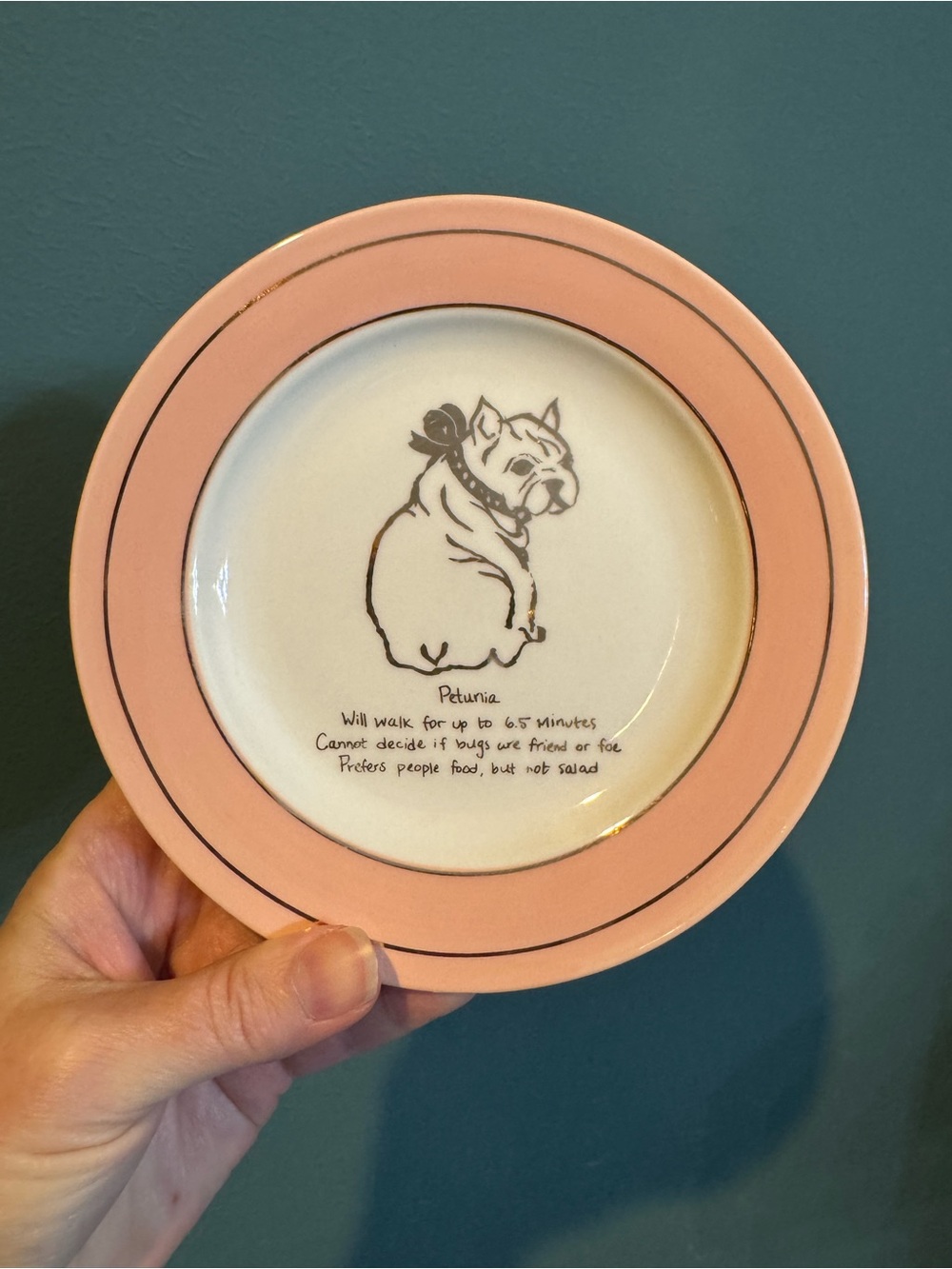 Anthropologie Dog Biography Pink Ceramic CanapΓ© Plate Frenchie Bulldog Petunia